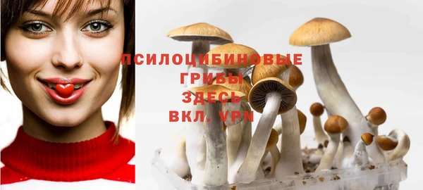 гашик Белокуриха