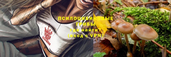 гашик Белокуриха