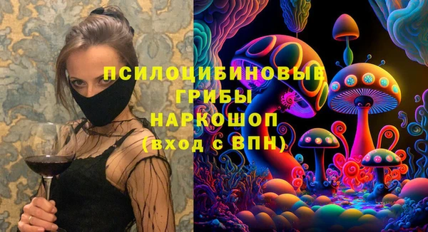 гашик Белокуриха