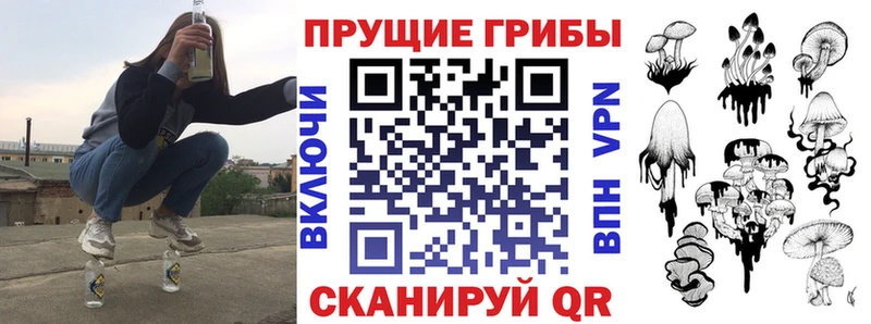 Галлюциногенные грибы мицелий  Кудрово 